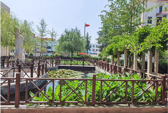 山東煤炭技師學院優雅美麗的校園