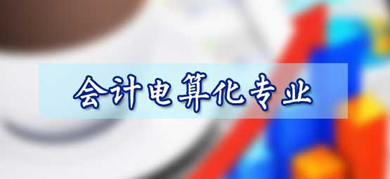 會計電算化