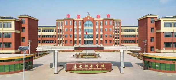 禹城淩愛職業中等專業學校