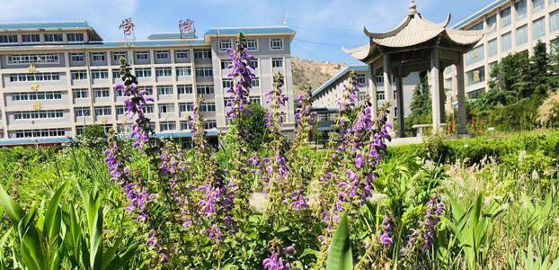 山東力明技工學校草藥基地