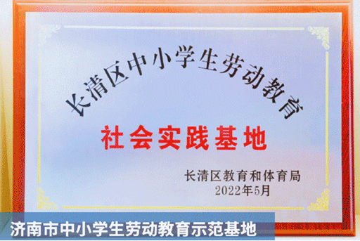 品牌實力
