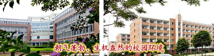 山東(dong) 化工技師學院