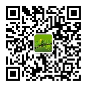 青島大學成考聯係方式