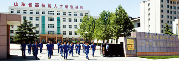 山東冶金技師學院