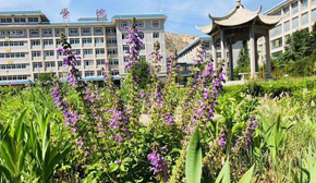 山東力明技工學校校園