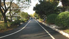 校園馬路