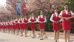 乘務類專業學生