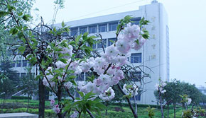 美麗校園